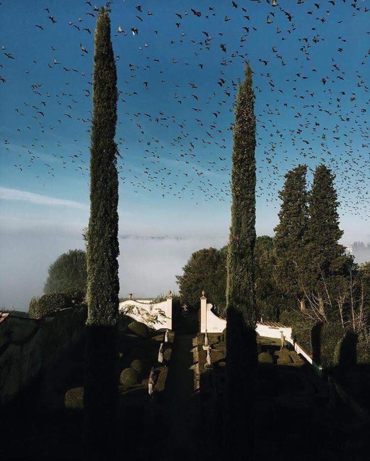 Villa Le Piazzole Florence Exterior photo